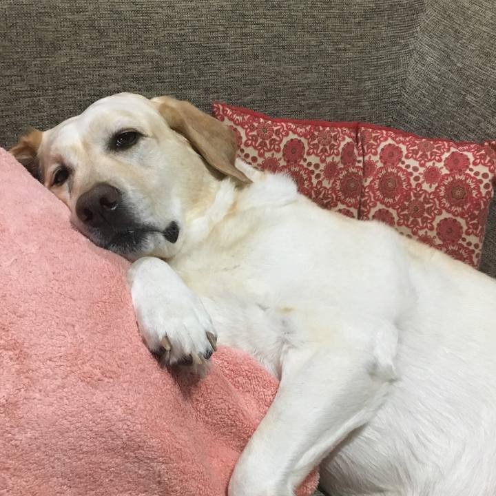 7db0c7f9 9c6e 4b12 af39 739b7d454da6