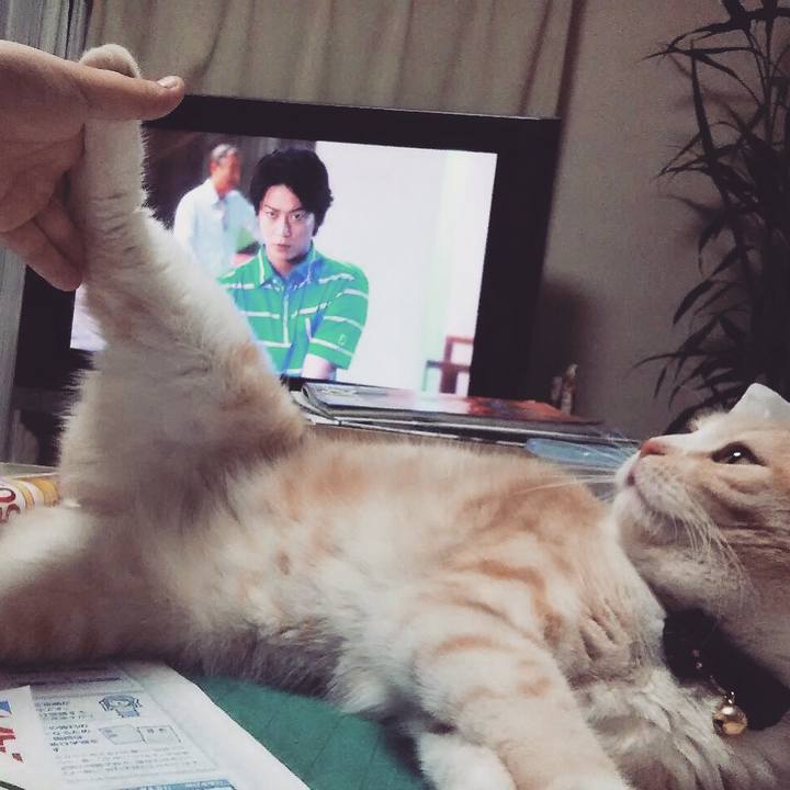 7db107e6 4aca 4ce2 8844 23c002d012a2