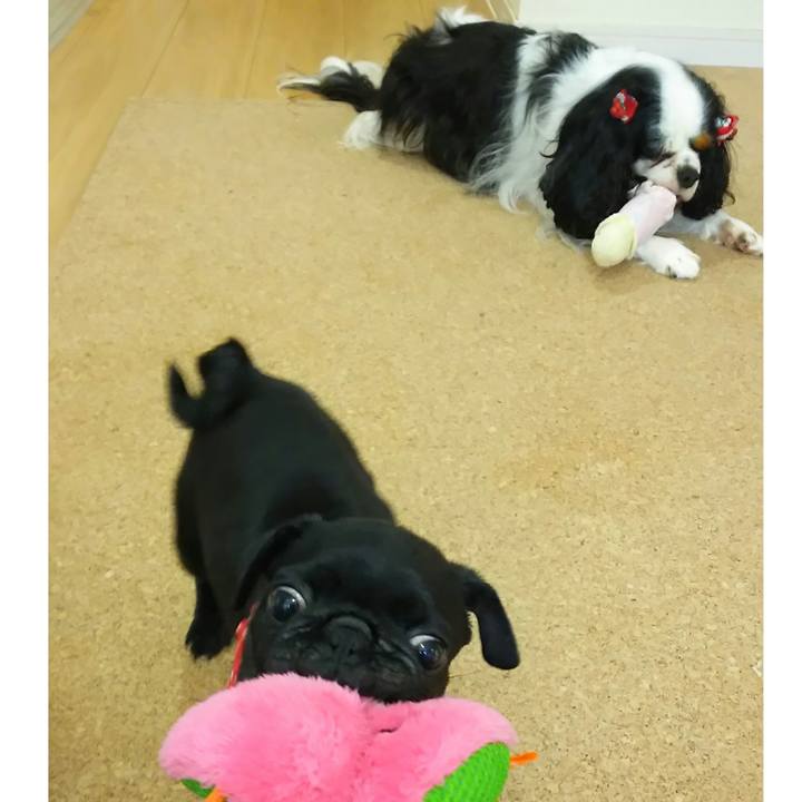 7db16288 863c 4164 bfe5 eb6b37be48a0