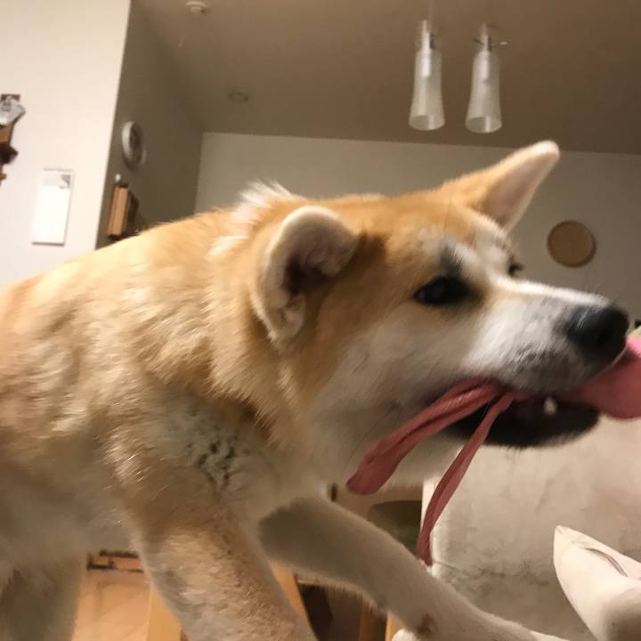 7db1946b 5816 4bd1 9dd7 530d162ea3d8