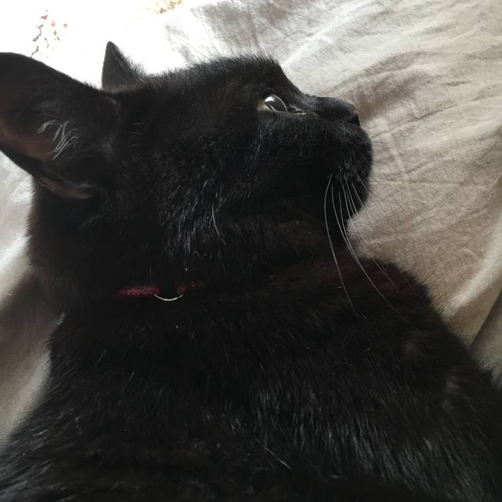 7db272b6 d558 42ed 938c f30f7018c6b4