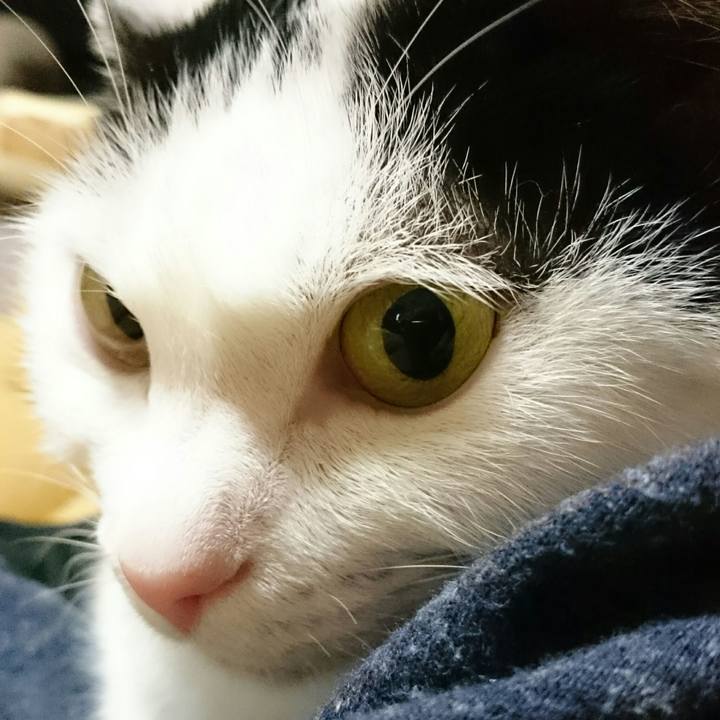 7db29e8b 6c96 47f5 99fb 7dcaf1e22f1e