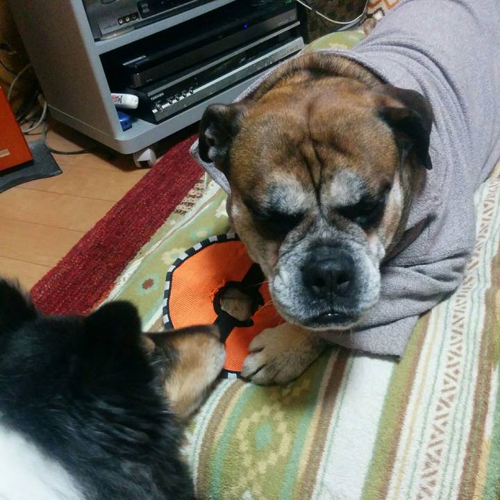 7db37ae9 b6fc 4ae3 a59d 17be2da95a71