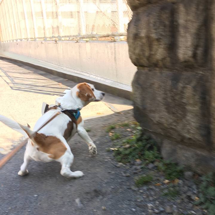 7db41460 7489 493b 8b52 c8a5eda03140