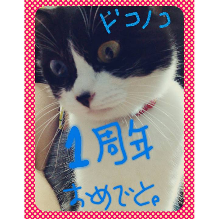 7db498e0 b17e 4db9 92d0 90ed55a71347