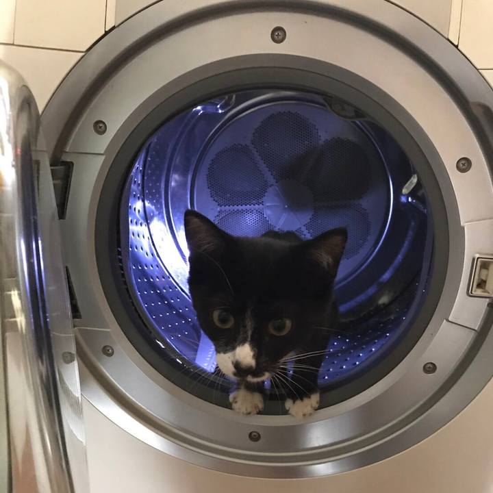 7db4a76e 7c71 4503 8b6b decee6bbe96f