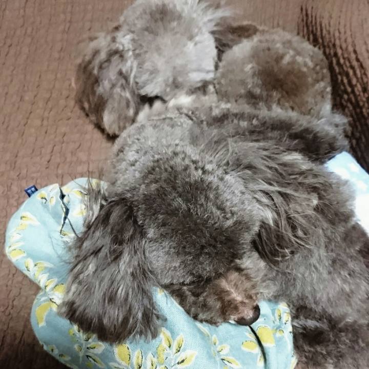 7db675a5 f3ea 4d57 b295 60a9f1e3683e