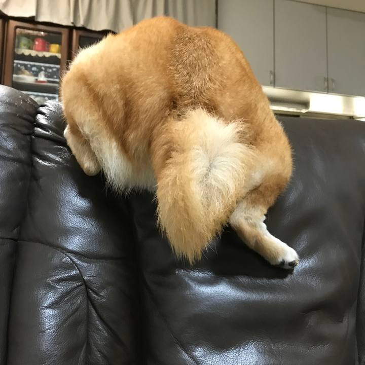 7db6b783 bff9 4a27 8d4a 677f54bac873