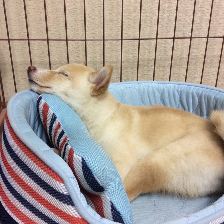 7db6c2a2 ffae 422e bd1c b785d3c177d0