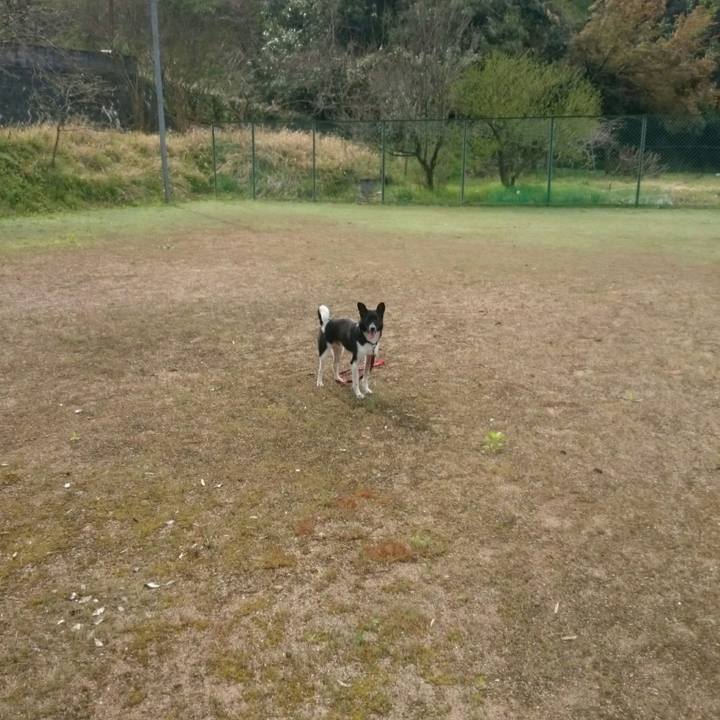 7db6c40e 907f 4b71 a343 9a734f9d8b78