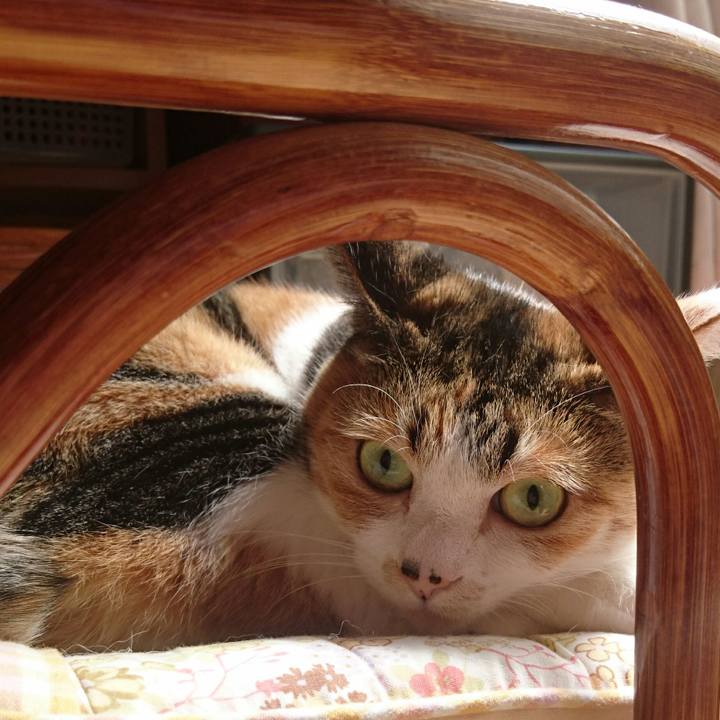 7db7ab16 5c2b 4bd1 9549 7a4582214caf