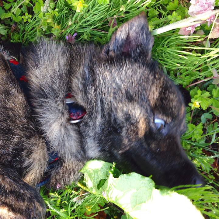 7db8030d 4d81 402b 9820 a6f40bfe75c1