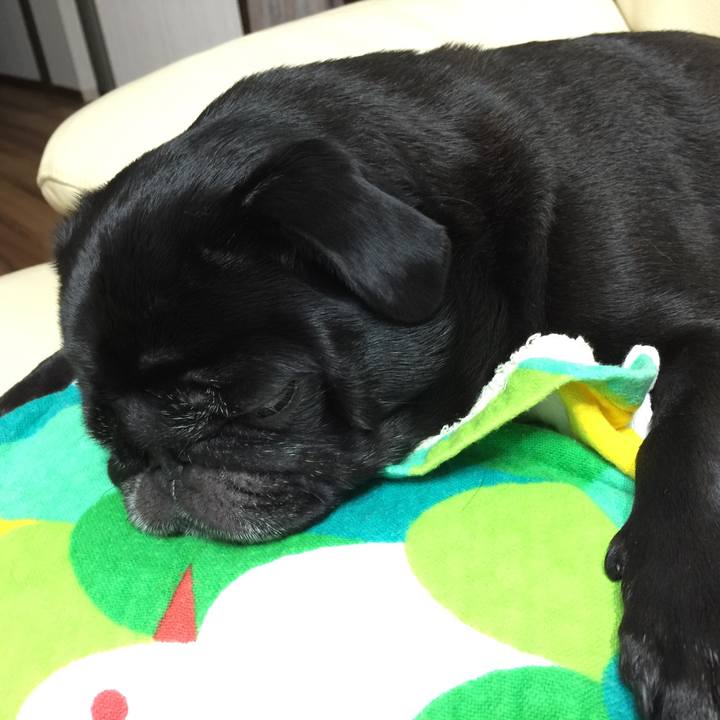 7db8632f 23f2 4128 bd7c 157e11959305