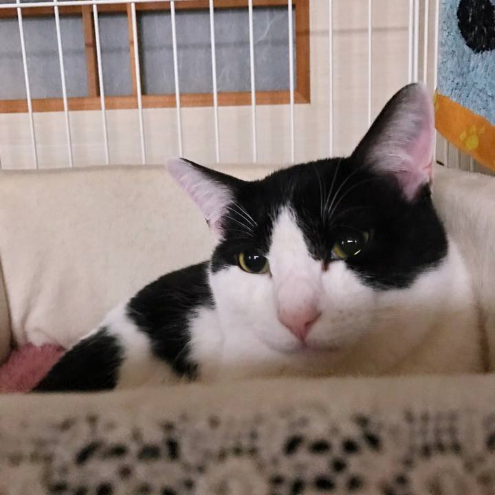 7db86646 2a14 4e66 b7e4 f79a9ce511e4