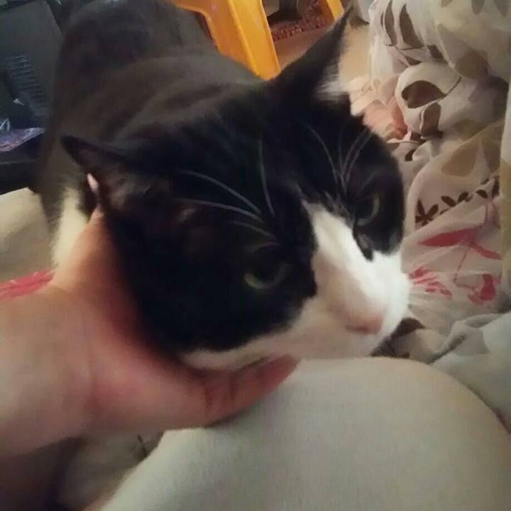 7db8e902 4c71 45d3 af45 14de2481ee29