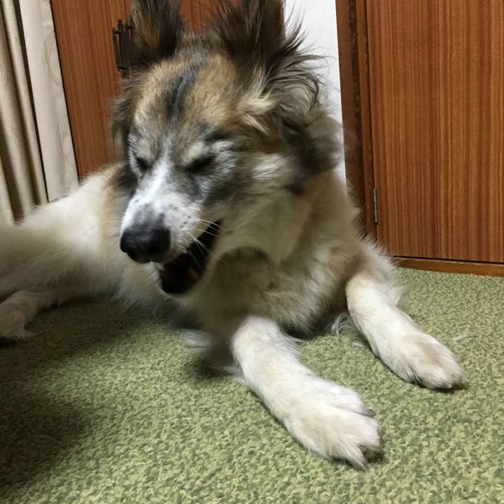 7db8e92a ddbb 413e 8210 957296d89814