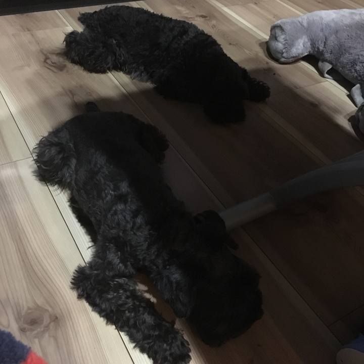 7db927c5 81d5 46bc ae79 15a40ec0c1c0