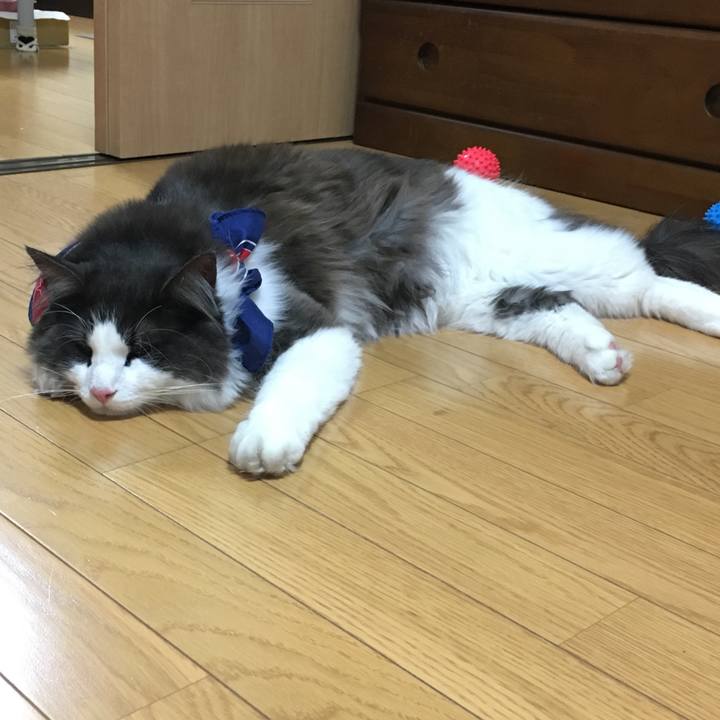 7db95807 d143 49be bf8c 899d61d90ac7