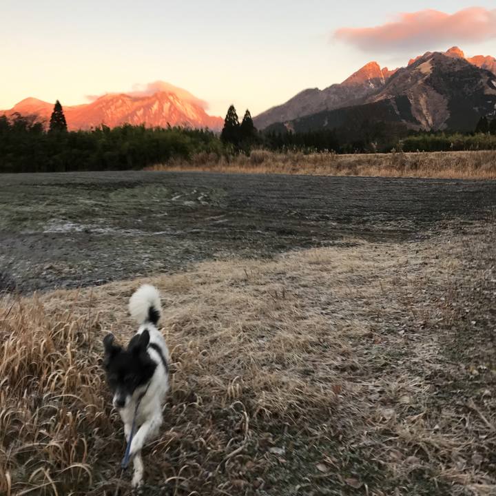 7dba28af bbec 4fe2 aeff 98b62d39ec3e