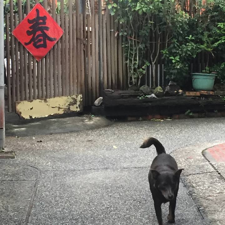 7dbab1aa 6fe6 4176 a087 ec0703590a1c