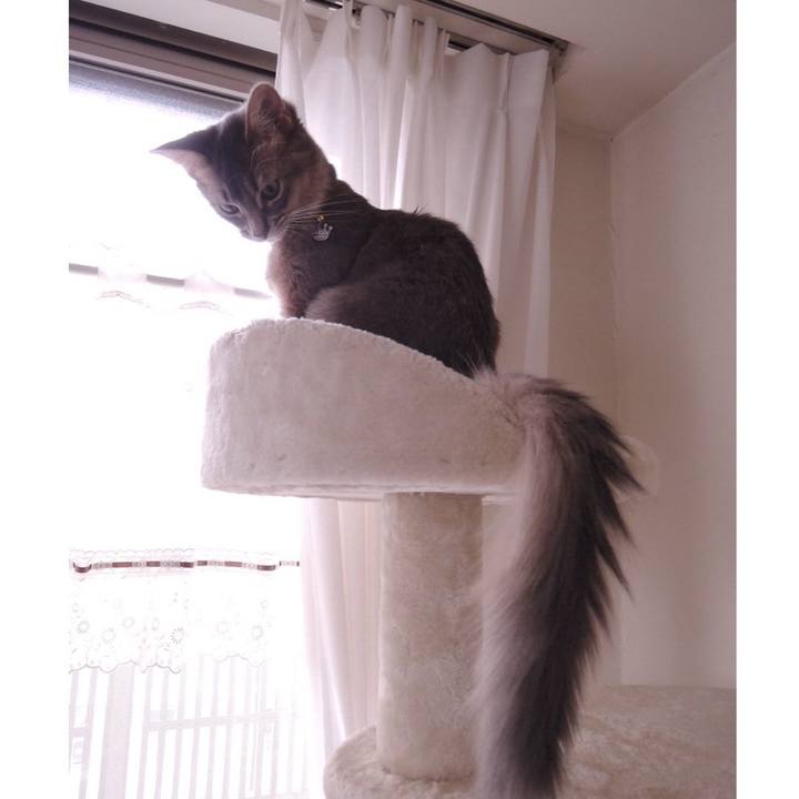 7dbaee8d fa6a 44b3 ae36 107489bfd821