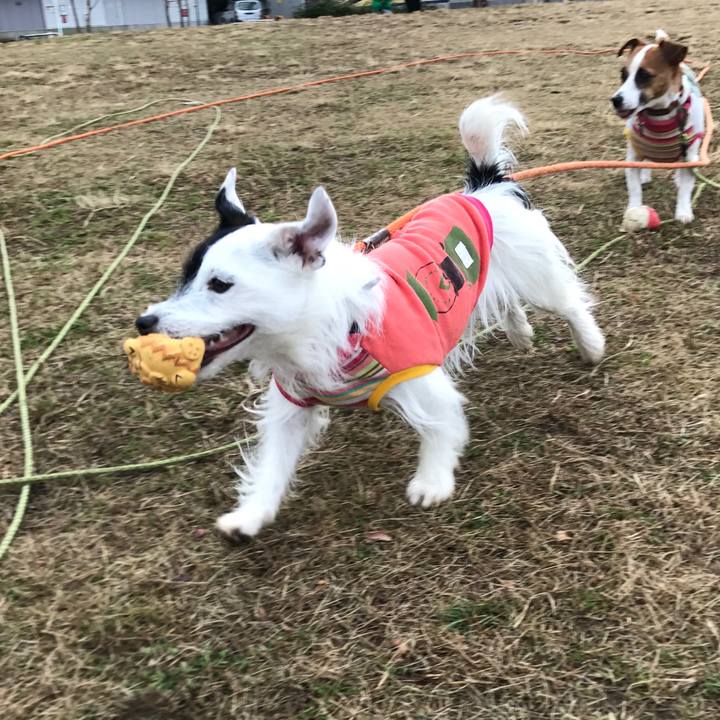 7dbb7097 0e86 4563 b21c 58d5febb5c91