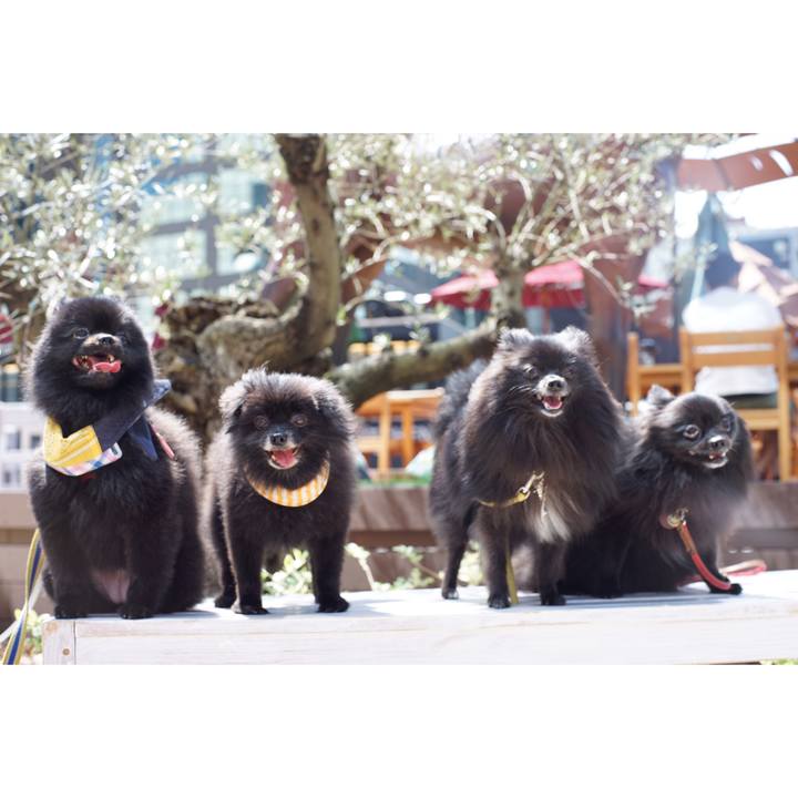 7dbc8f4d 24d5 4047 9457 9121a7a1a89f