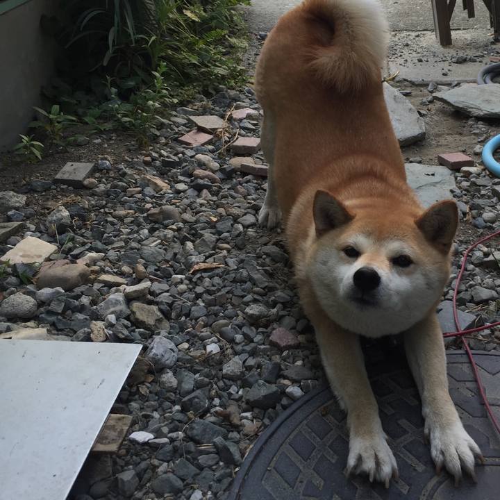 7dbce009 8e35 419a 9c3d fb6833e1108b