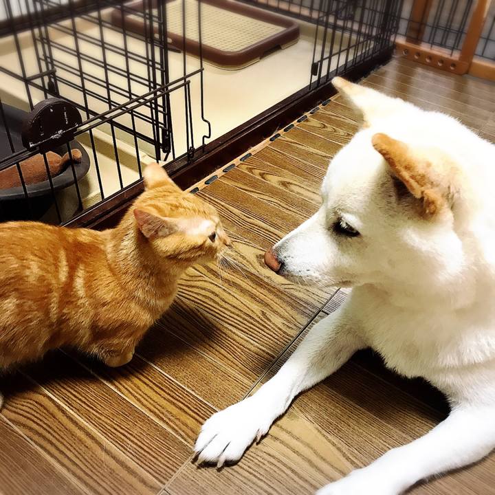 7dbce07b 7781 4903 b2c8 b1615a42a7cf