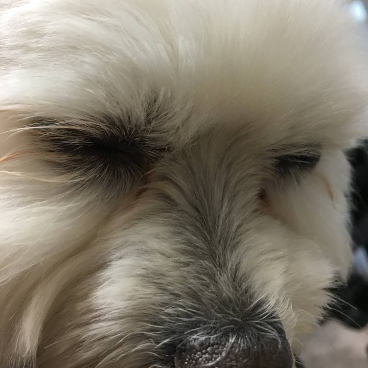 7dbd49e1 334a 4360 81fa 20cd80f0070b