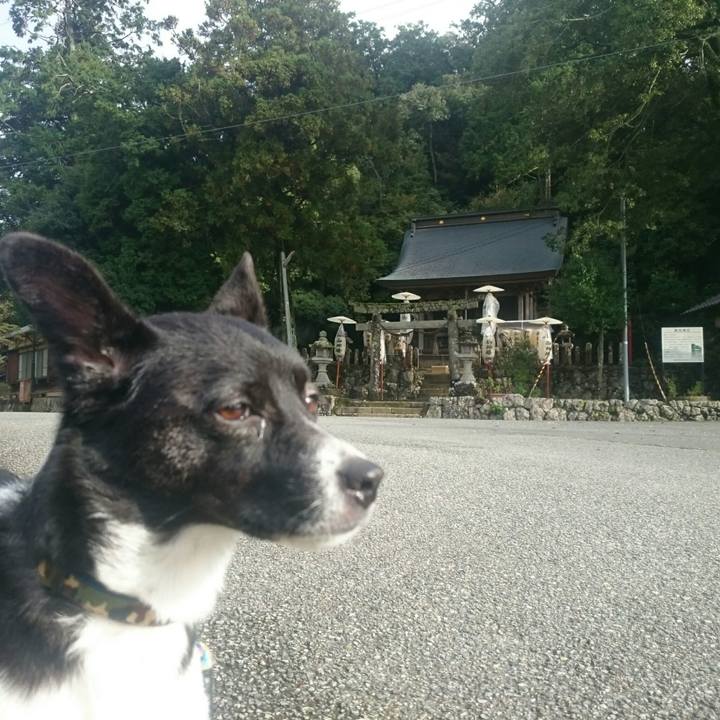 7dbda2f8 7e5e 4ee2 adbe 305009d38fb9