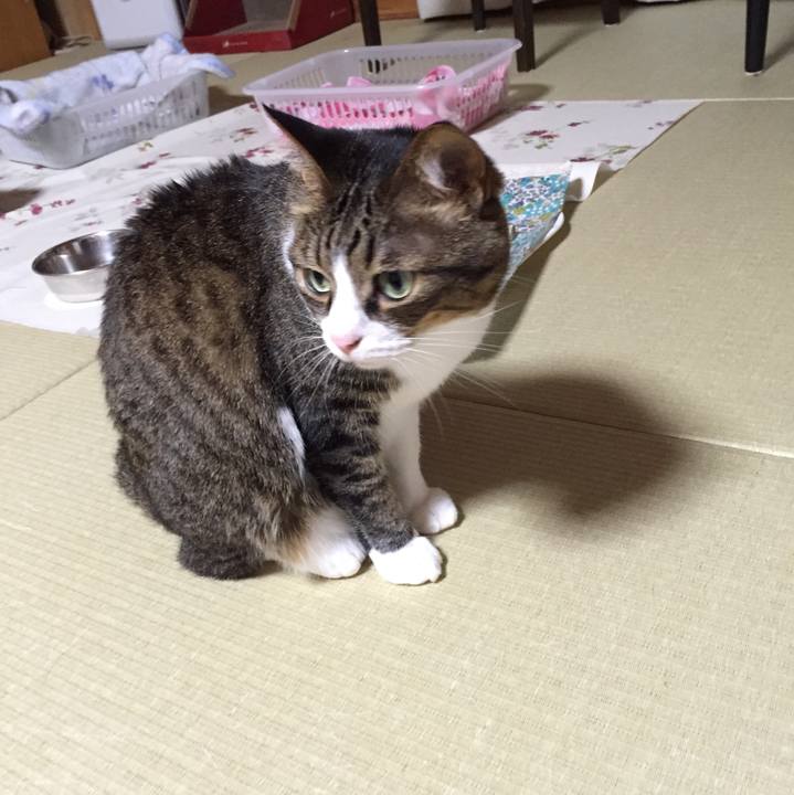 7dbda65e a2a5 487f 99a8 0f9f88c5f4f0