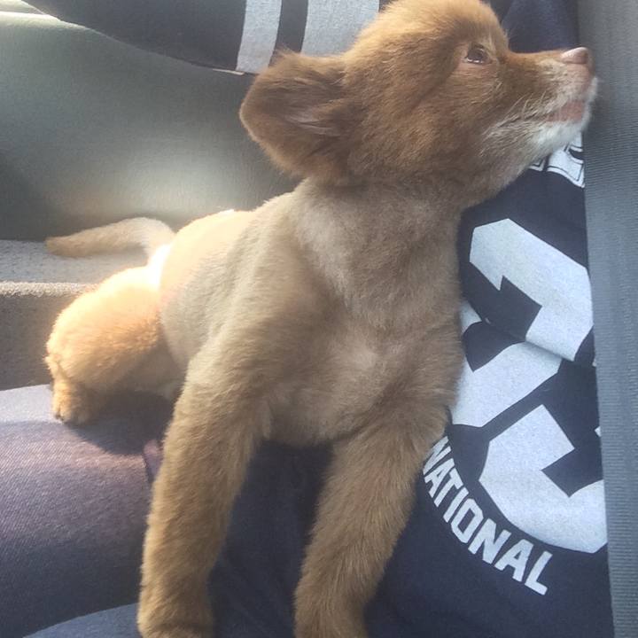 7dbe4a4f eb36 40f8 8799 aca4bdfcc837