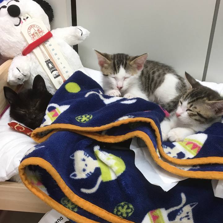 7dbe73a4 f8c3 40d8 ac4c ff8fb475f7fc