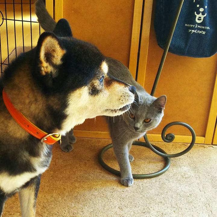 7dbe8a24 aa84 4a30 a287 bd9a12356e56