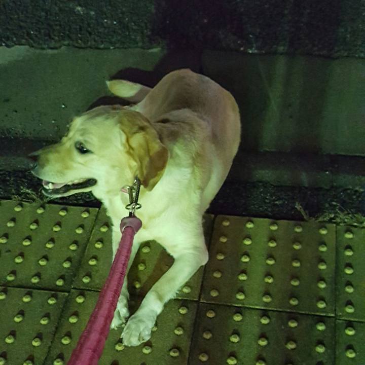 7dbeaa0f 9838 4b2e b607 5a6b6a6a8139