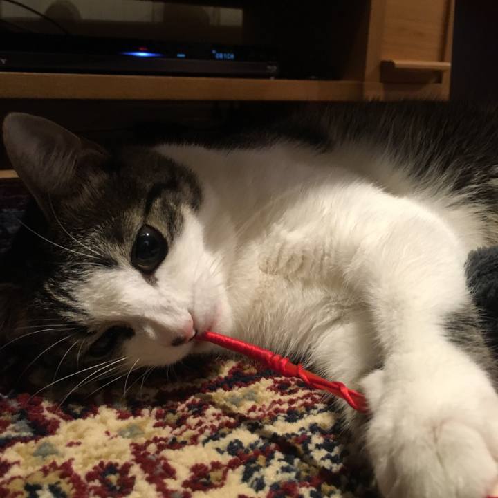 7dbedbd7 7b6e 47ae 8541 fcb663f308f3