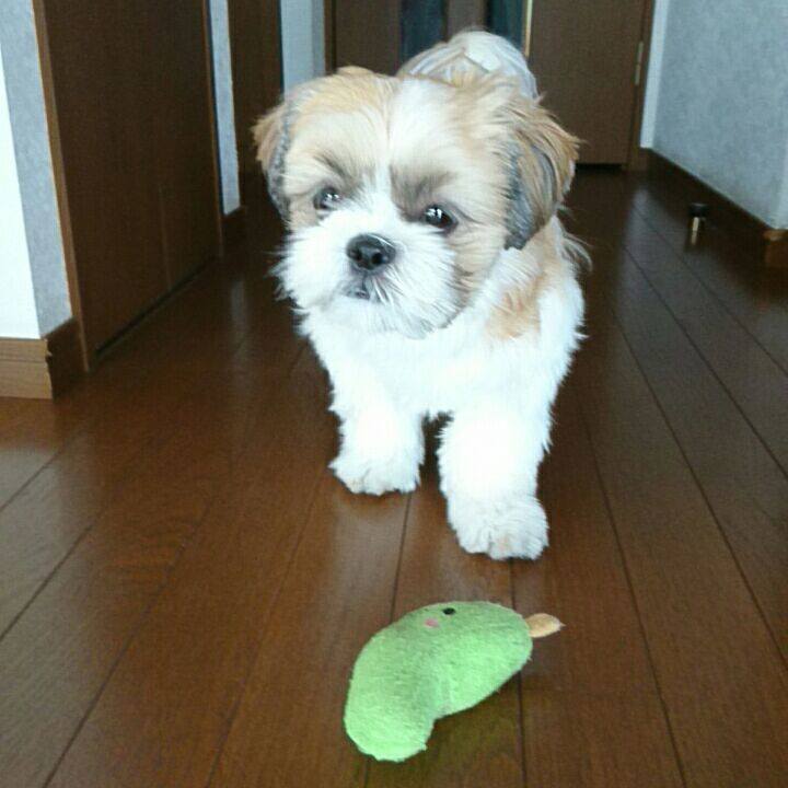 7dbff569 fa15 47d7 849b 8be07e9773b4