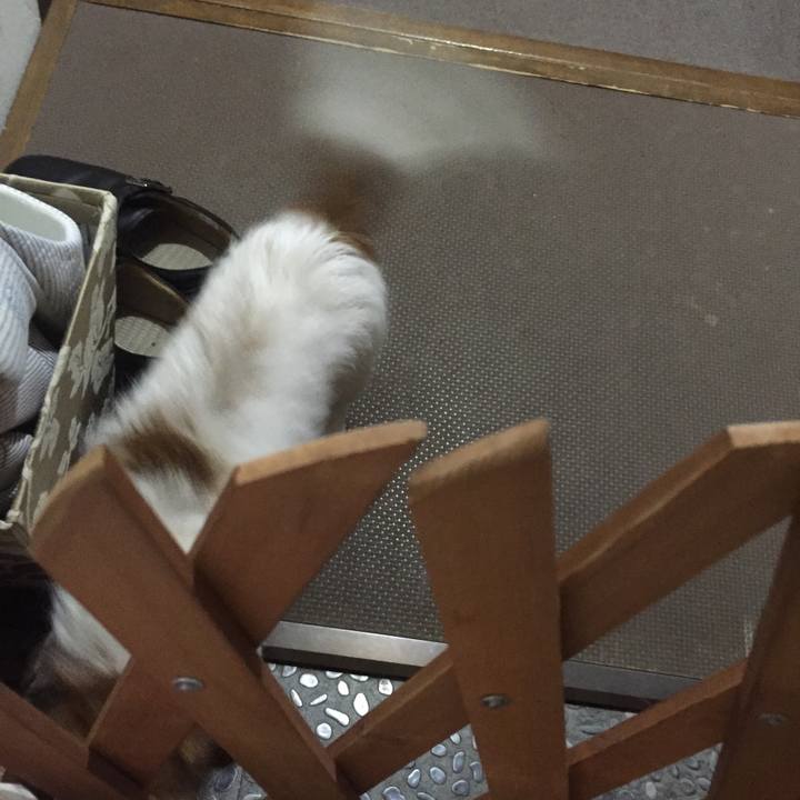 7dc014a5 8db1 4381 8885 c1c5700c5f36