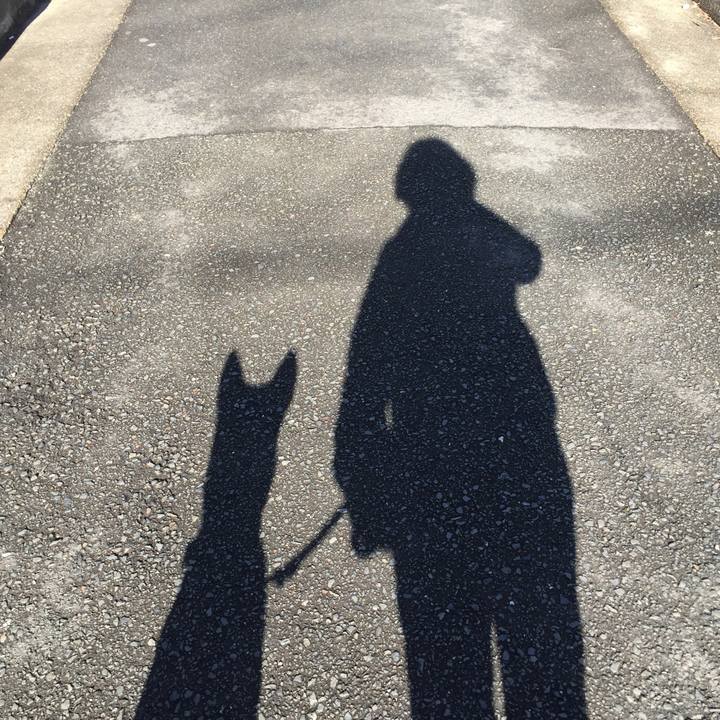 7dc032d7 816f 4e85 ac36 36ab4c0734ad