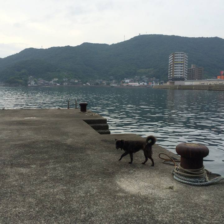 7dc04f07 f22b 4a70 831e 1de77819996a