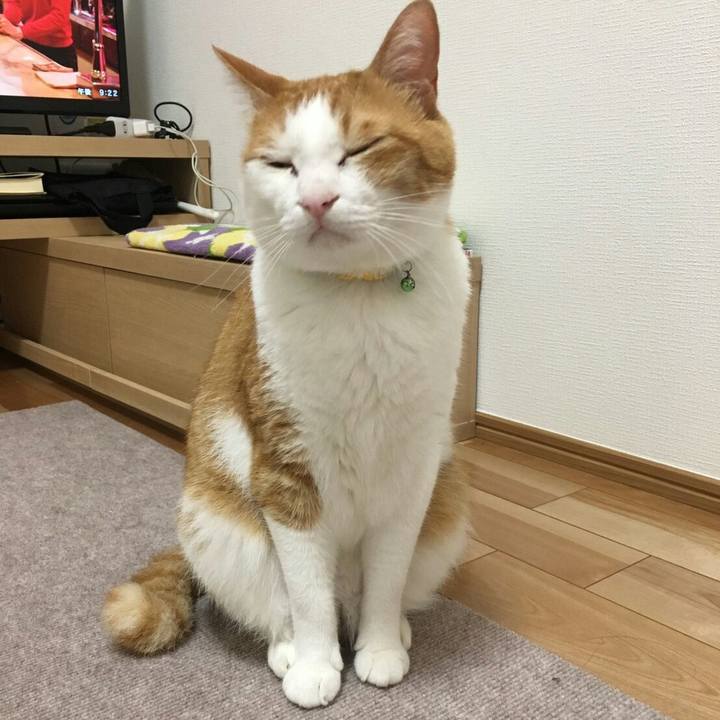 7dc13d62 3907 411c ae0f cb7c52cbcb4b