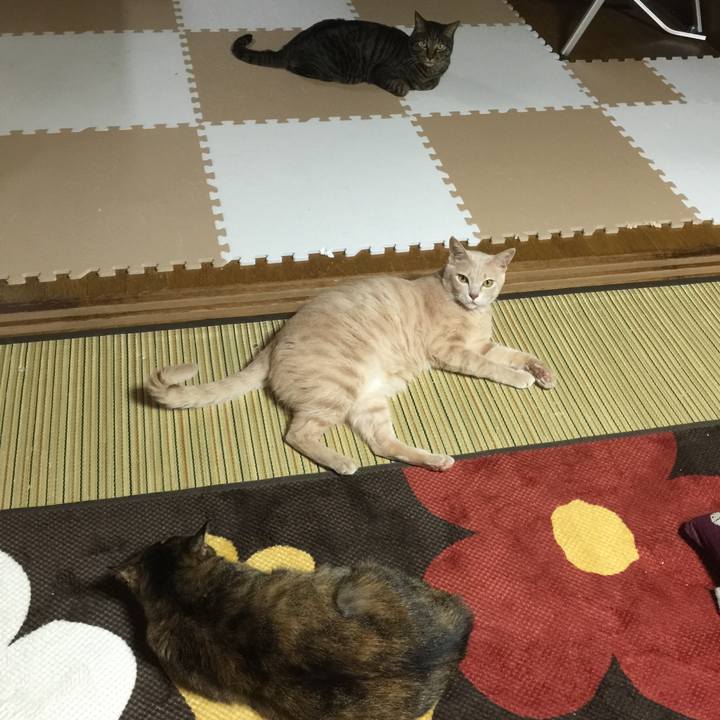 7dc1ee8d 1f6c 4543 b8a7 1705b2985f38