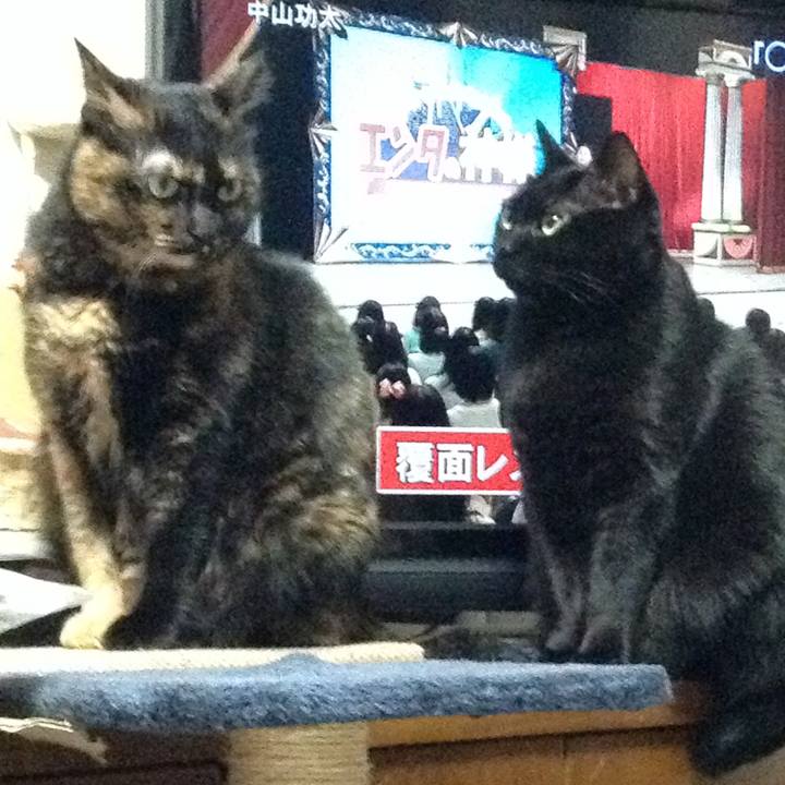 7dc1fcf6 a95d 459f bb27 ea4a93d44525