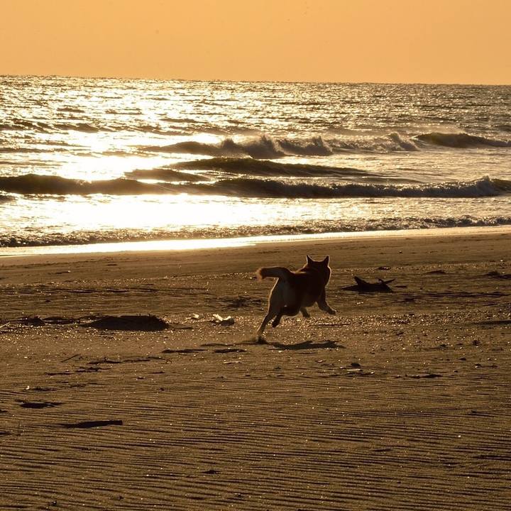 7dc2635a 509f 4e22 ad81 c02d3c41b625