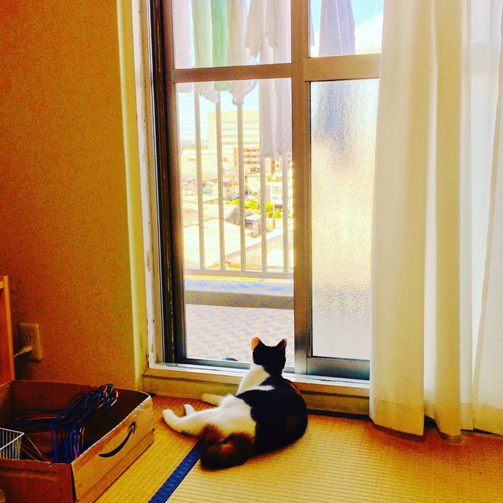 7dc2de6c 0b54 408a a509 05ac9f4d39e7