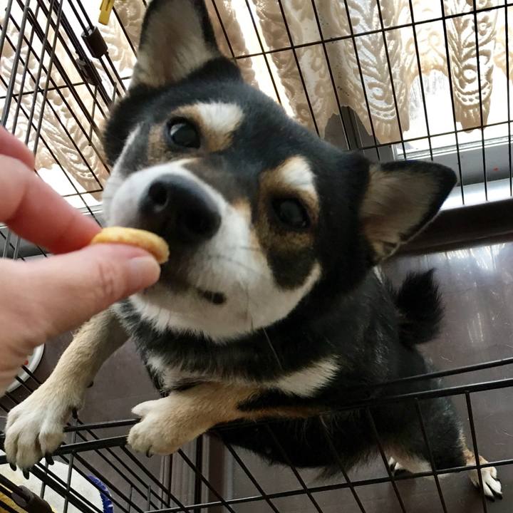 7dc31d9e a484 4618 a050 22d1452ac4c6