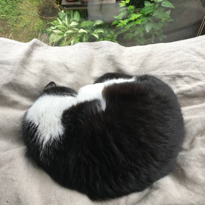 7dc34f38 55c1 4e91 b6c1 fb8a28a89e6d