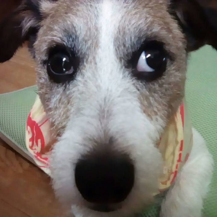 7dc3aed7 965a 4855 a69e 7c7fc6e7285c