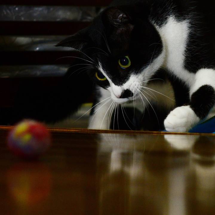 7dc404fc 944b 44b1 9c1a 8cc05eb43abf